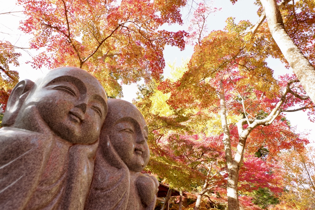 鷲林寺のアイアイ地蔵
