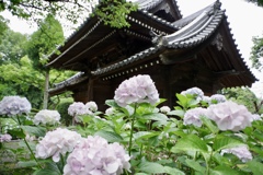 水無月の山門