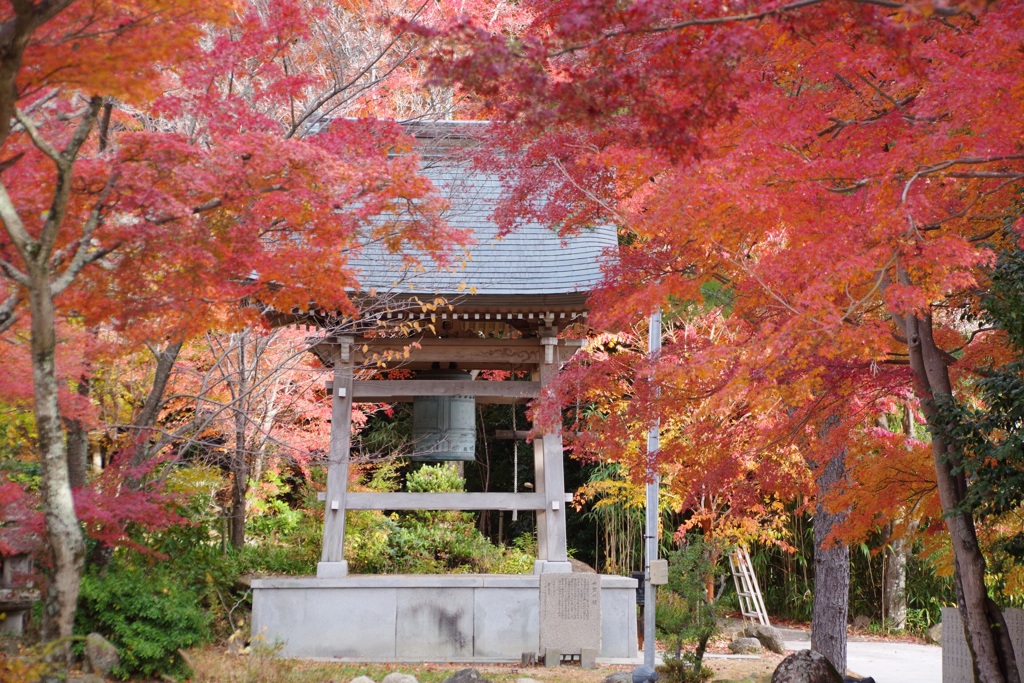 鷲林寺の鐘楼