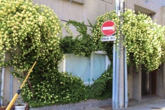 ナチュラルハート