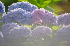 ベンチで前ボケ