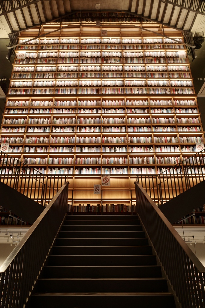 脳がついていけない①