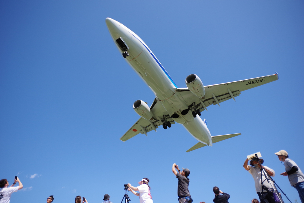 それぞれの画角で