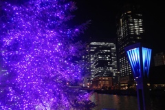 １２月の堂島川