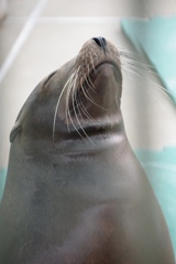 やってしもうた