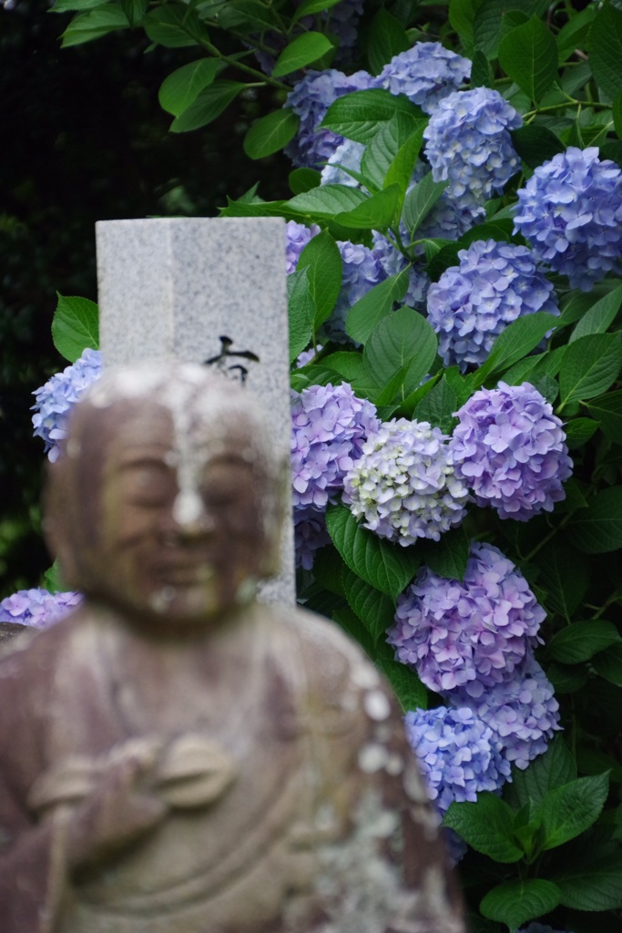 水無月のお地蔵さん