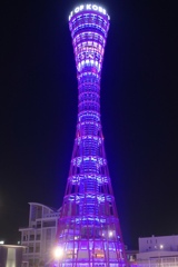 パープル①