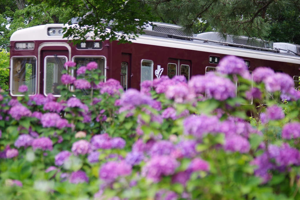 ６月の阪急電車
