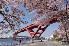 河津桜