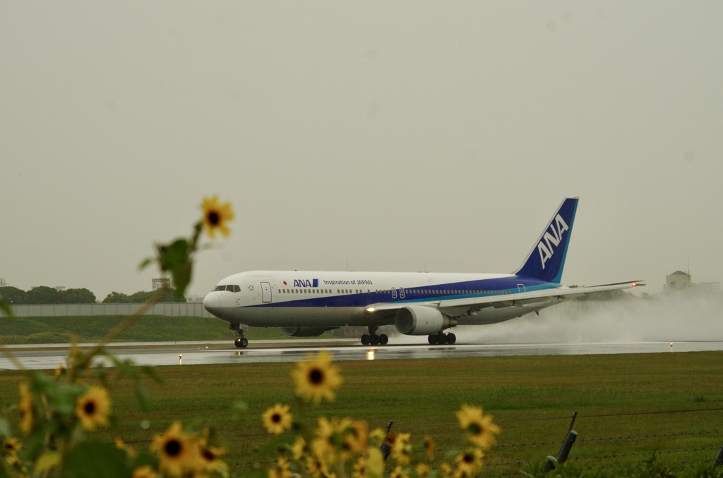 雨の伊丹空港