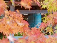 ようやく秋の気配