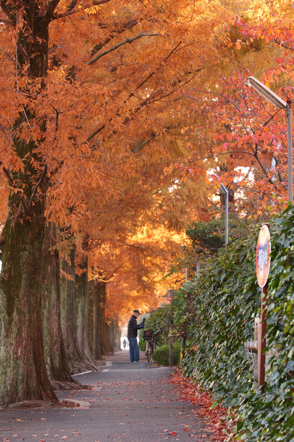 カメラおじいちゃん