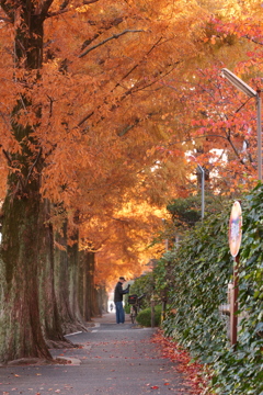 カメラおじいちゃん