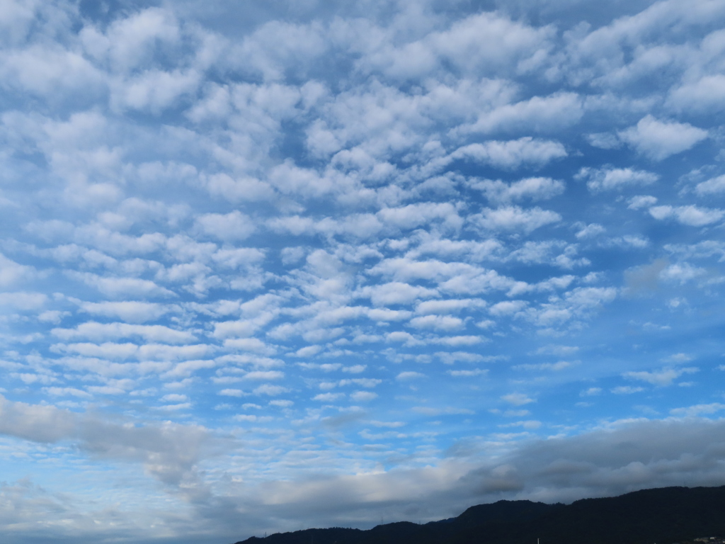 秋空　朝