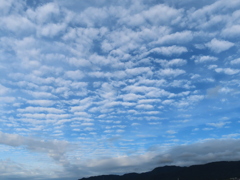 秋空　朝
