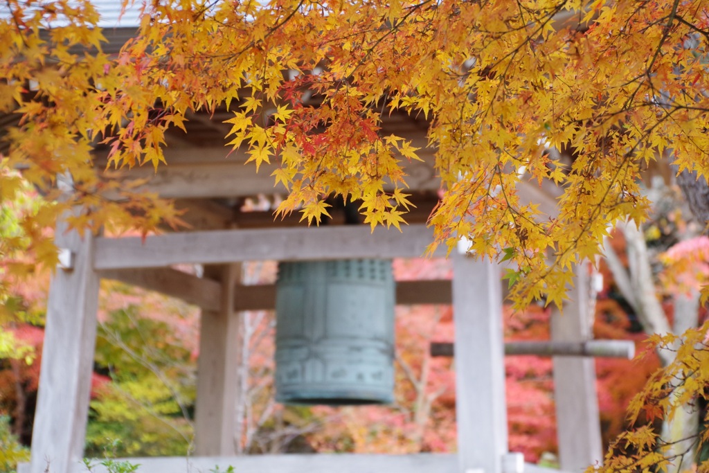 鷲林寺の鐘楼