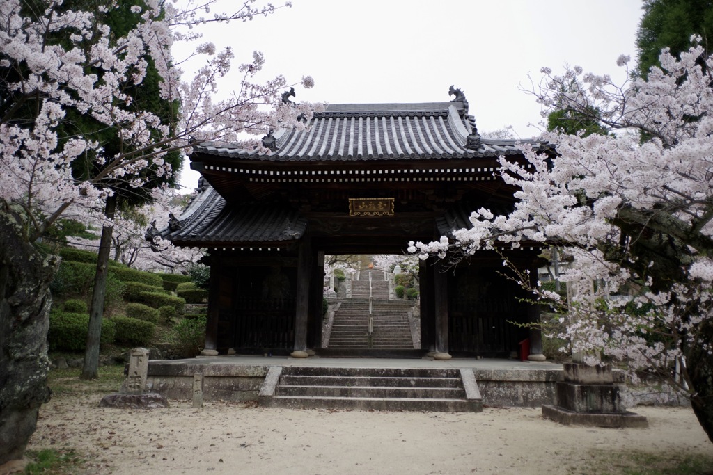 山門の春