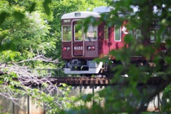 葉桜と阪急電車