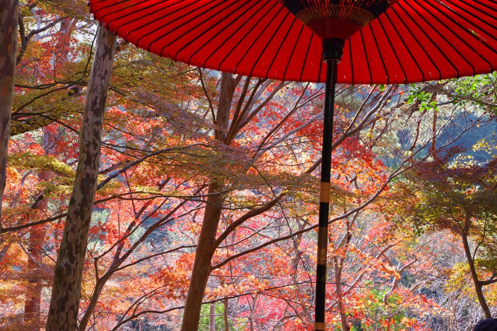 有馬　瑞宝寺公園