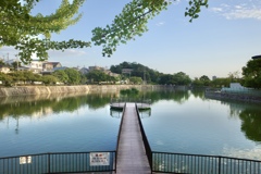 西宮市　新池
