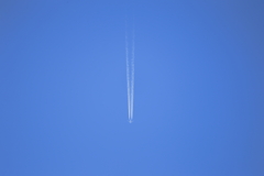 空を泳ぐ
