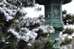 雪の善光寺④