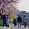 未定