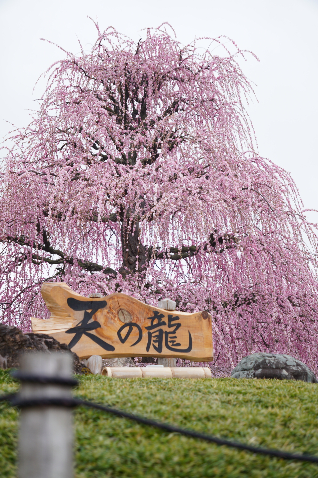 鈴鹿の森庭園