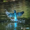 翡翠BLUE ①