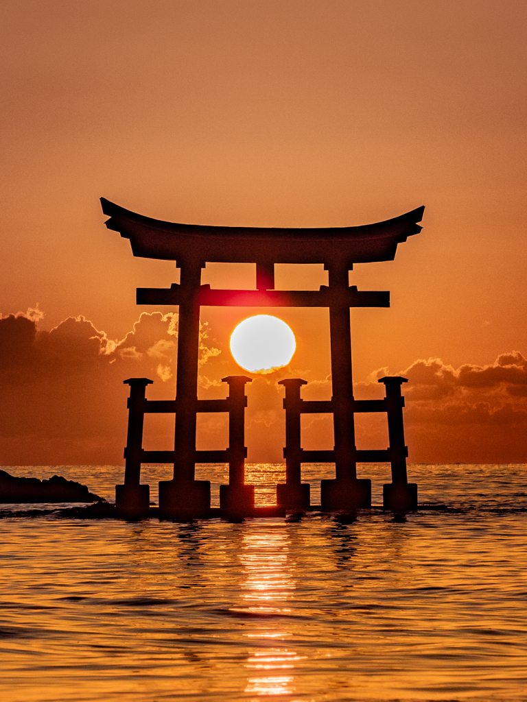 鳥居に輝く朝陽