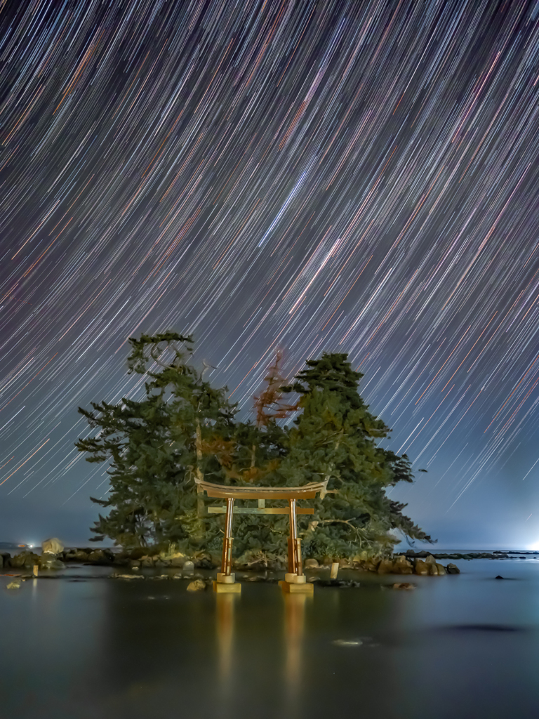 星降る夜の鳥居