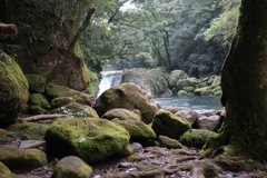渓谷の夏⑤