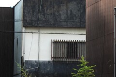 壁庇