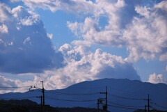 送電網　寒さ緩んだ一日