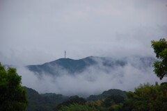 雨上がり