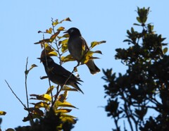 寒さ緩んだ一日