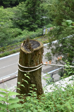 山岳国道