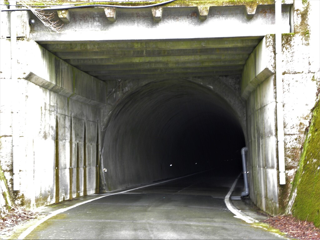 西条市道加茂２４号線　そして　旧寒風山隧道