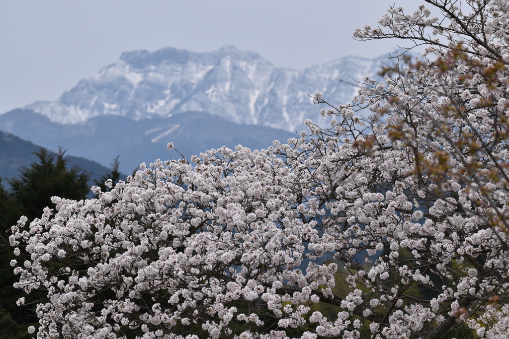石鎚連峰