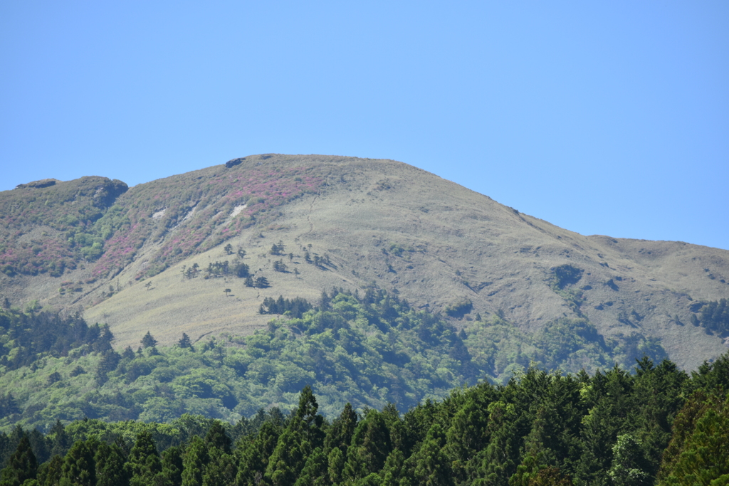 笹ヶ峰
