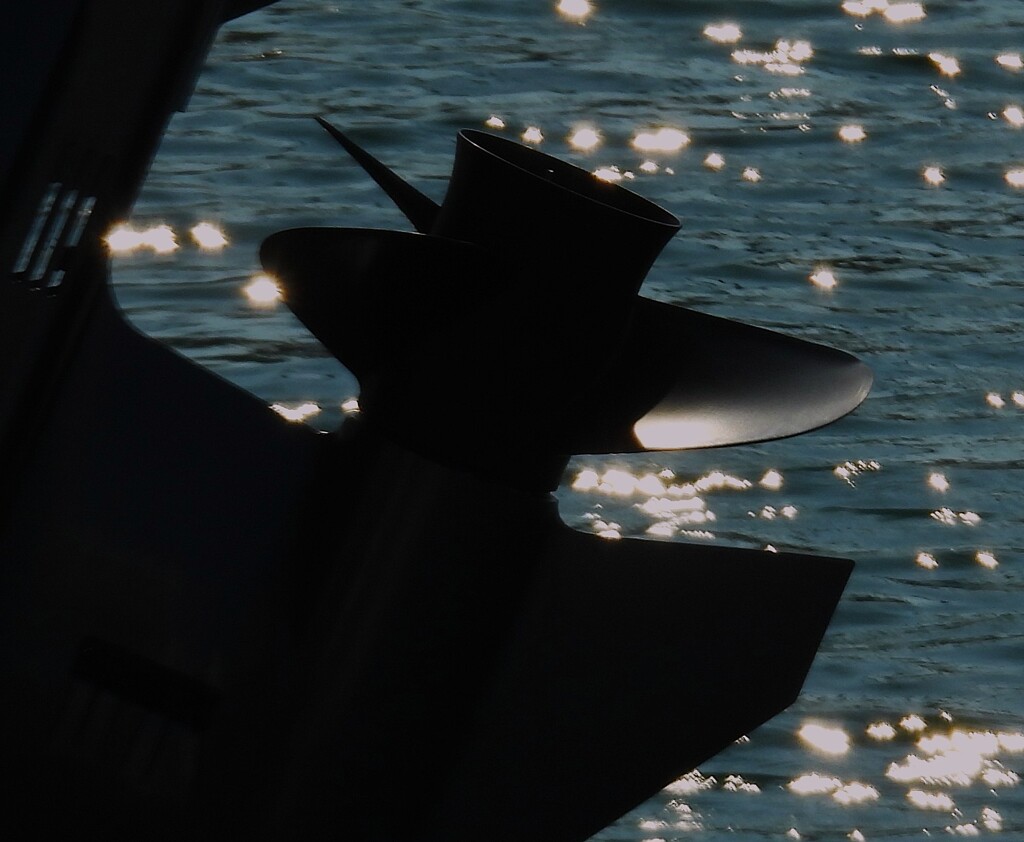 Screw Propeller