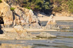 かぶとがに海岸