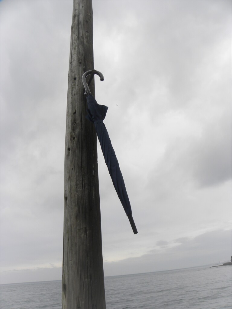 雨上がり