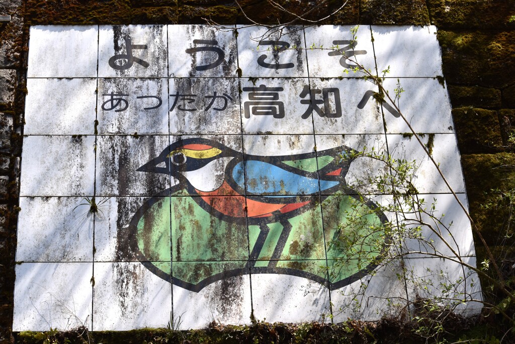 鳥さん