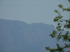 石鎚連峰　残雪