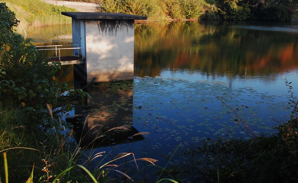 水源地　夕方
