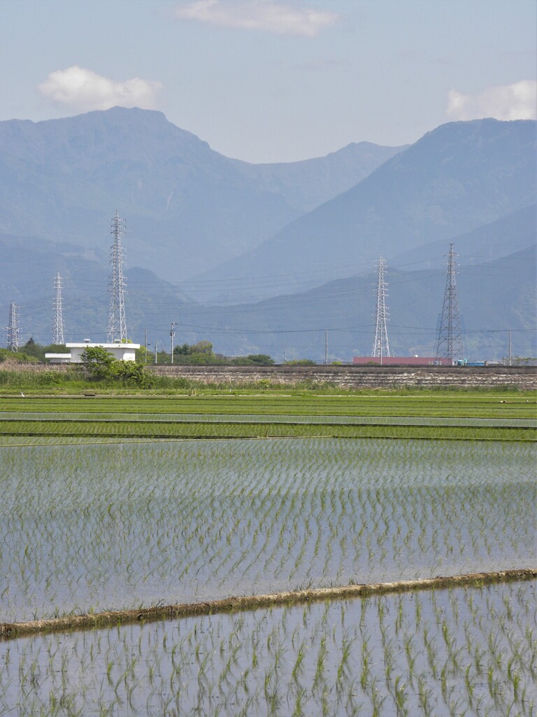 水田　そして　桑瀬峠