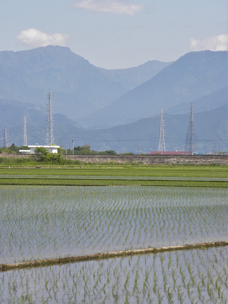 水田　そして　桑瀬峠