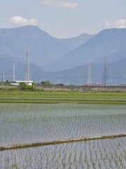 水田　そして　桑瀬峠