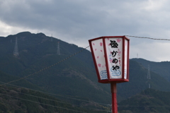 お花見ぼんぼり